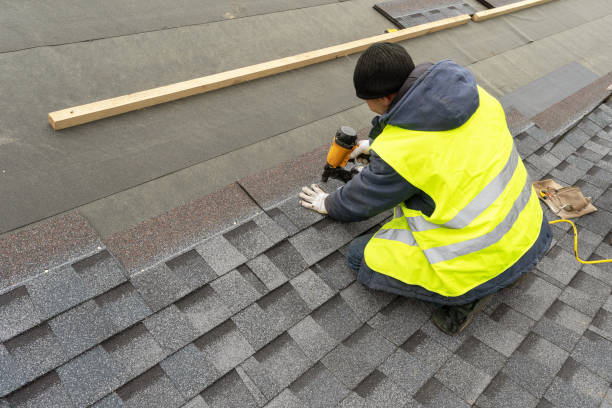 Best Roof Gutter Cleaning  in Hillsboro, KS