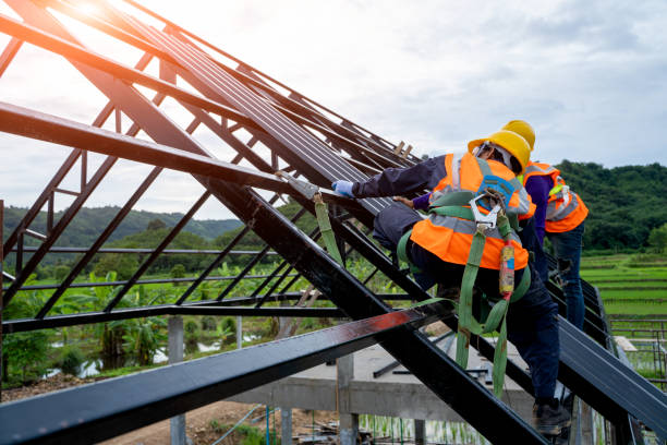 Best Sealant for Roof  in Hillsboro, KS
