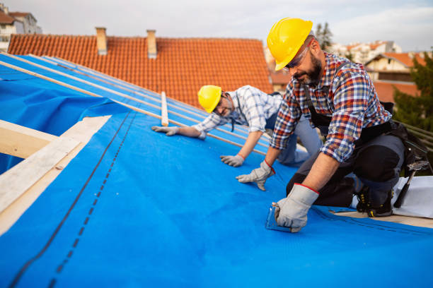Best Metal Roofing Contractor  in Hillsboro, KS